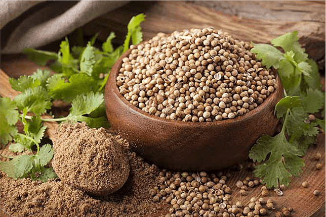 Coriander Image